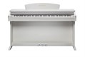 KURZWEIL