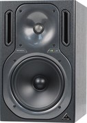 Behringer B2031A