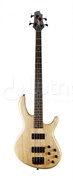 CORT Action-DLX-AS-OPN