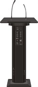 SVS Audiotechnik LR-150
