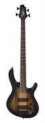 CORT C4-Plus-ZBMH-TBB