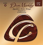 Dean Markley DM2202