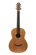 NewTone N17GASNCE №17