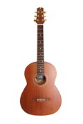 NewTone N17GASDBCE №17