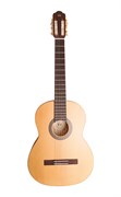 NewTone SCLSNTSP Silena