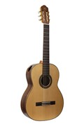 NewTone SCCLASCTNRW Soloist "Concert"
