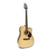 GREG BENNETT GD101SCE/N