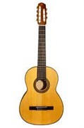 NewTone SCLSCTNTSP7 Silena