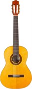 CORDOBA PROTEGE C1