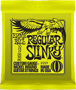 Ernie Ball 2221