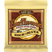 Ernie Ball 2008
